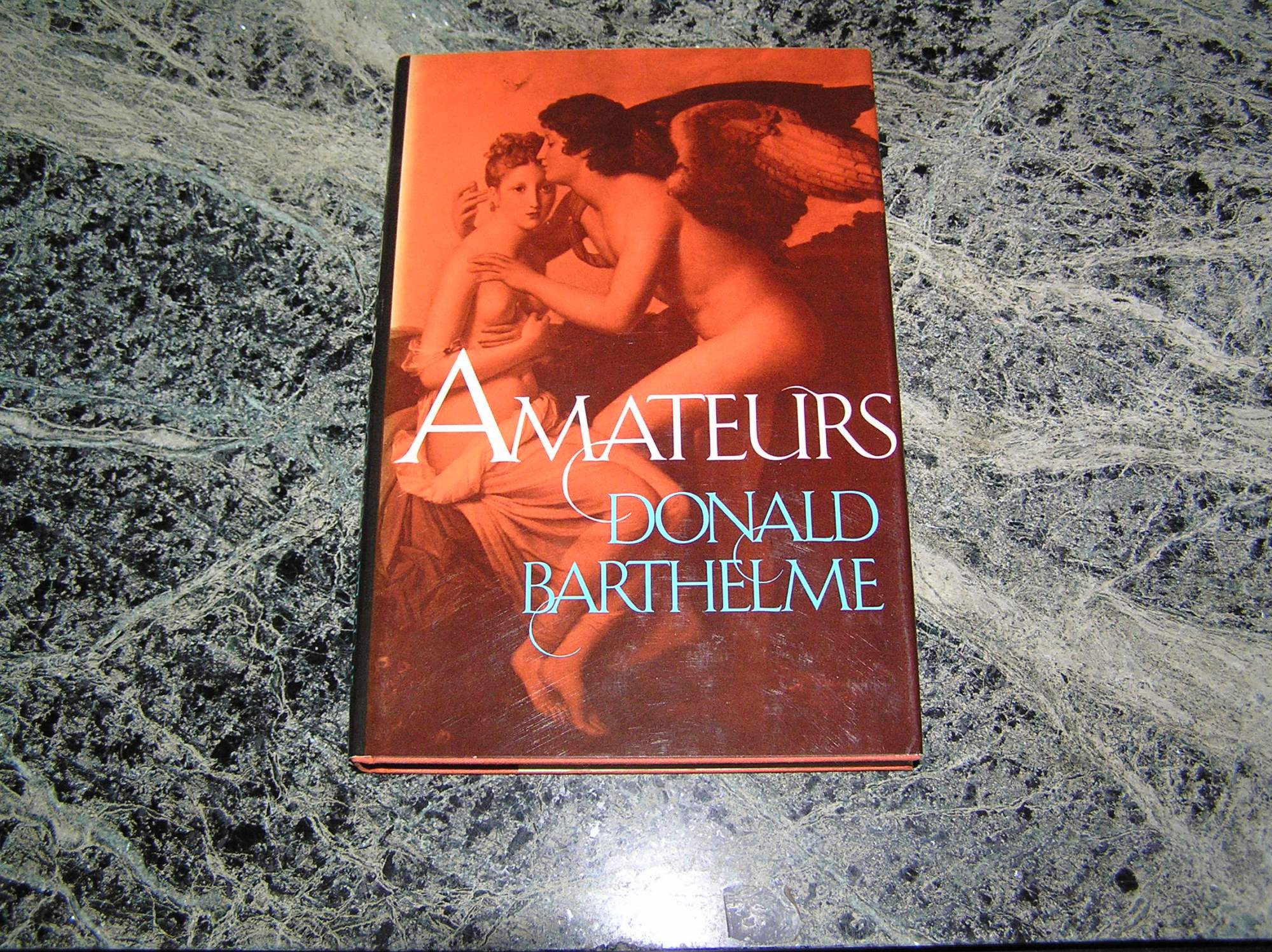 DONALD BARTHELME Amateurs 1st Ed