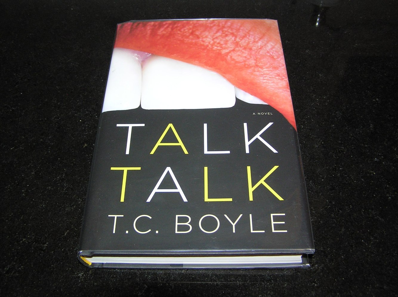 T. C. BOYLE Talk Talk 1st SIGNED