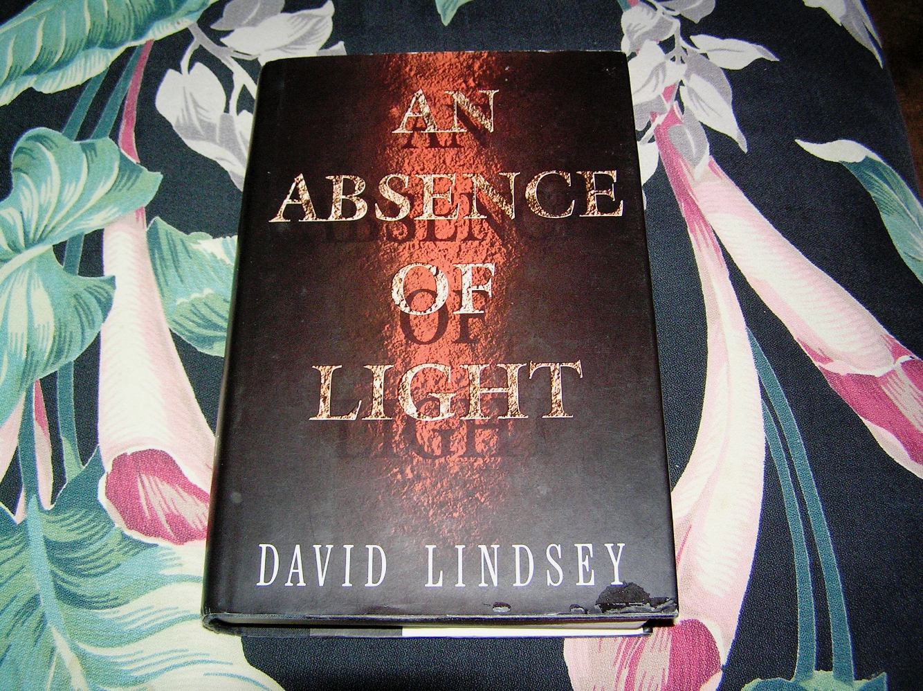 An Absence of Light David Lindsey