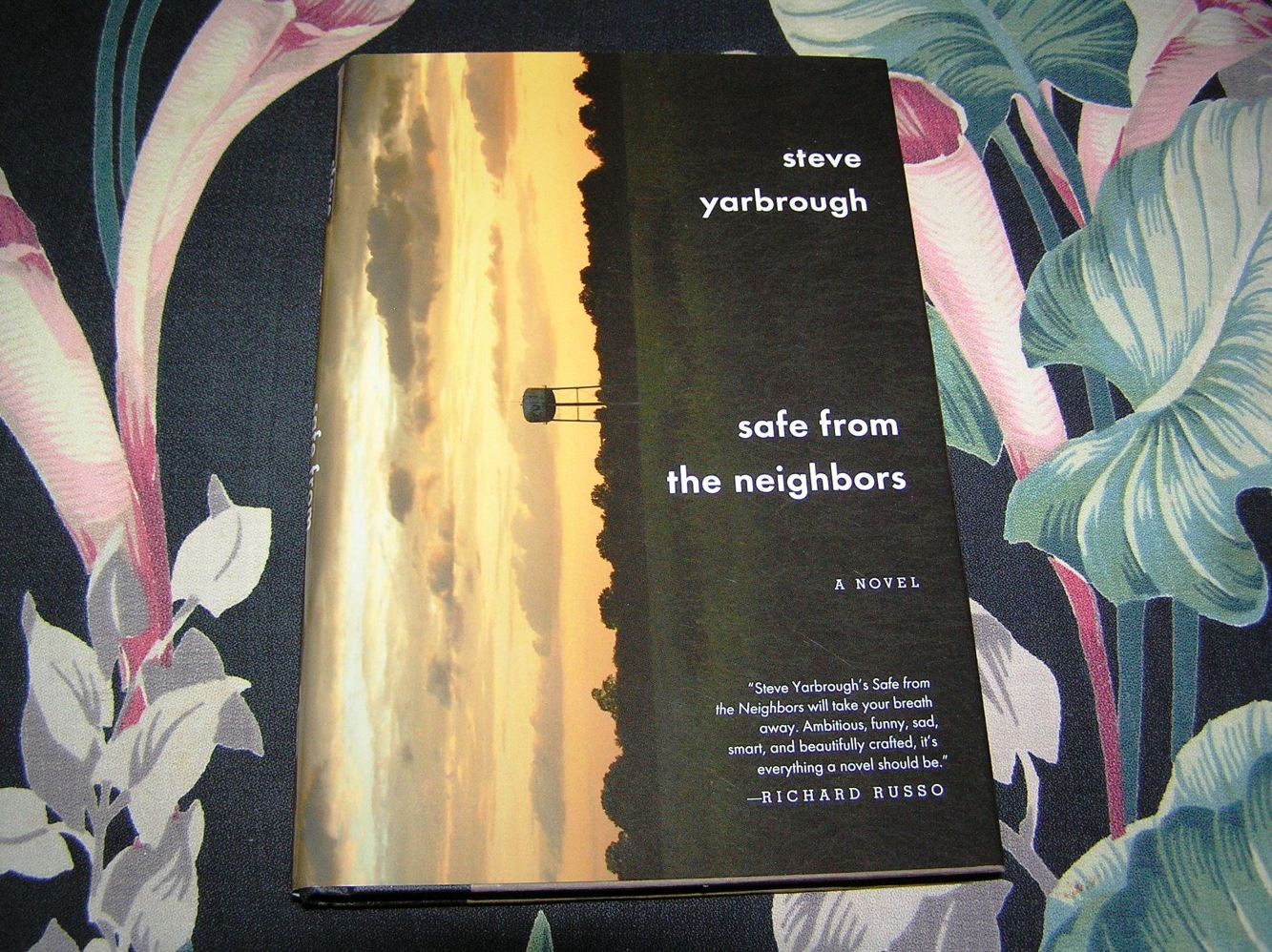 Safe from the Neighbors - 2010 Steve Yarbrough