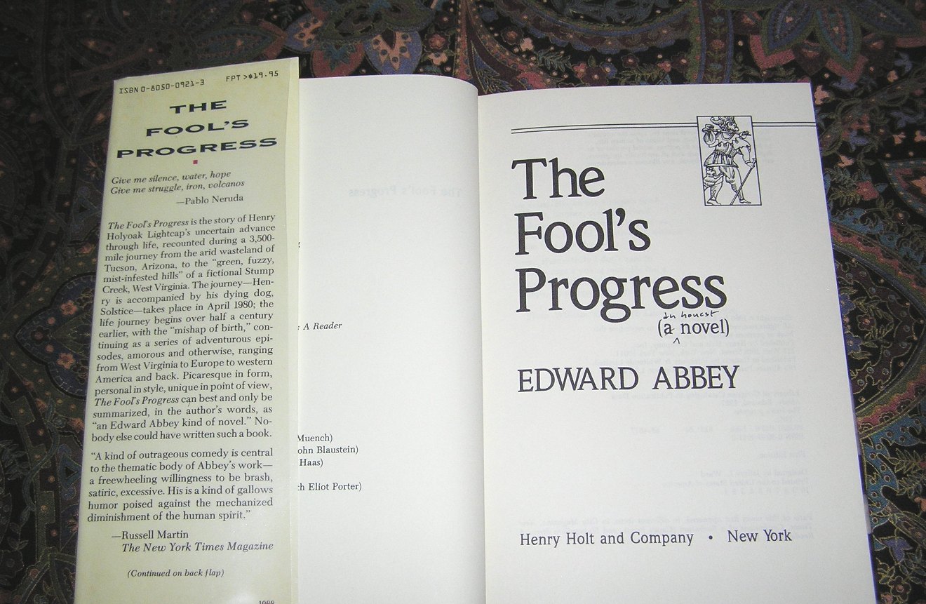 Edward abbey and his fear of progress